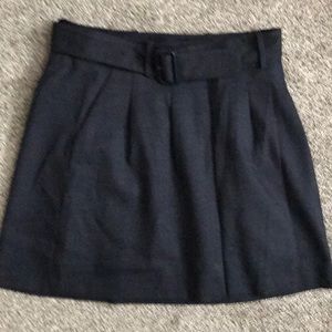 The limited skirt